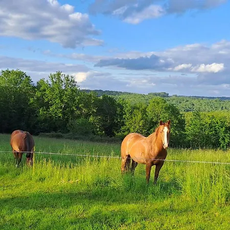 Terre De Jade Savignac-de-Miremont
