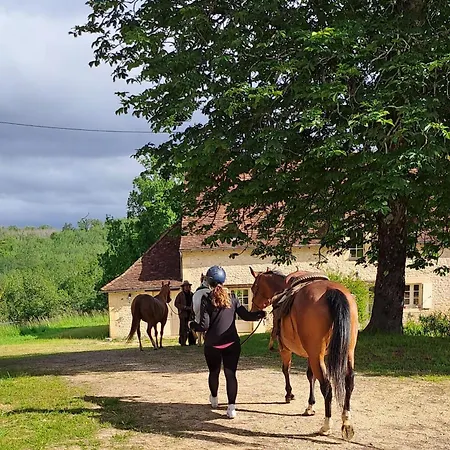 Terre De Jade Holiday home *