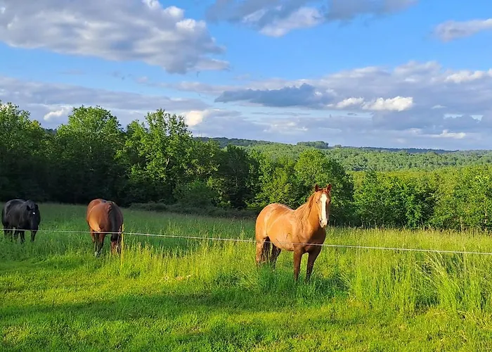 Terre De Jade Savignac-de-Miremont